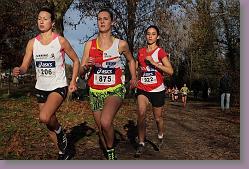 Begles 15.12.13 01 739 * 679 x 453 * (163KB)